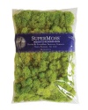 Super Moss 21669 Reindeer Moss Preserved, Chartreuse, 8-Ounce