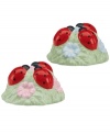 A trio of ladybugs and whimsical flowers make these Lenox salt and pepper shakers the perfect addition to your Butterfly Meadow dinnerware collection.