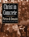 Christ in Concrete (Centennial Edition) (Signet classics)