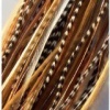 8 -12 in Length Beautiful Natural Beige & Brown Feathers for Hair Extension with Mixes of Browns & Beiges Feathers with Salon Quality 5 Feathers