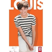 (24x36) One Direction Louis Tomlinson Orange Music Poster