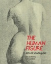 The Human Figure (Dover Anatomy for Artists)