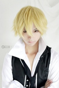 Durarara Shizuo Heiwajima Short Party Costume Cosplay Wigs