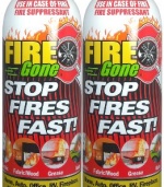 Fire Gone 2NBFG2704 White/Red Fire Extinguisher - 16 oz., (Pack of 2)