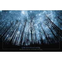 (24x36) Imagination Keep Your Eyes on the Stars and Your Feet on the Ground Art Print Poster