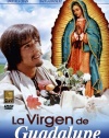 La Virgen de Guadalupe