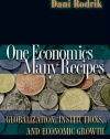 One Economics, Many Recipes: Globalization, Institutions, and Economic Growth