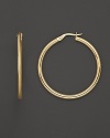 Bold, gleaming gold hoops make a sophisticated statement.