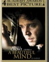 A Beautiful Mind