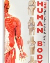 Just The Facts: The Human Body - Musculoskeletal