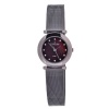 Skagen Women's 107SDDD Quartz Stainless Steel Brown Mother Of Pearl Dial Watch