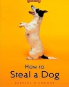 How to Steal a Dog