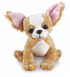 Webkinz Chihuahua