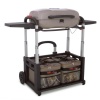 Char-Broil Grill 2 Go Ice Real Tree Edition TRU Infrared Grill