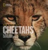 Face to Face With Cheetahs (Face to Face with Animals)