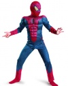 The Amazing Spider-man Movie Muscle Costume, Red/Blue, Small