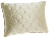 Barbara Barry Dream Silk 15-inch by 20-inch Boudoir Pillow, Champagne