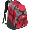 High Sierra Access Laptop Backpack