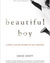 Beautiful Boy: A Father's Journey Through His Son's Addiction