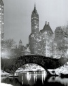 Central Park (1961) Poster Print, 24x36 Poster Print, 24x36