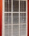 Magne 40-Inch Vinyl Mini Blind with 1-Inch Slats and 25-Inch Width, 40-Inch Drop