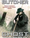 Ghost Story: A Novel of the Dresden Files