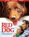 Red Dog