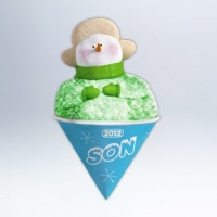 Son 2012 Hallmark Ornament