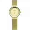 Skagen Women's 456SGSG Gold plated With Swarovski Elements Watch