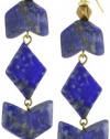 Vanessa Mooney Mesa Drop Earrings