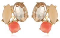 Anne Klein Burst and Bloom Gold-Tone Multi-Colored Cluster Button Earrings