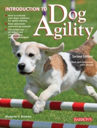 Introduction to Dog Agility