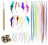 SHANY Cosmetics Feather Hair Extension Kit, 8 Ounce (Feather Hair, Hook, Beads, Feather Grizzly Solid Mix All-In-One) -100 Piece