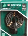 BePuzzled Hanayama Cast Metal Brainteaser Puzzles - Hanayama Labyrinth Puzzle (Level 5)