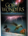 God of Wonders