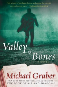 Valley of Bones: A Novel