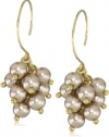 Anne Klein Sorbet Pearl and Crystal Eurowire Drop Earrings