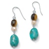 PalmBeach Jewelry Tigers-Eye Silver Earrings