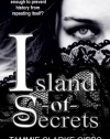 Island of Secrets: A Time Travel, Gothic Romance