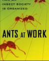 Ants At Work: How An Insect Society Is Organized