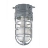 Metal Cage Ceiling Mount Light, Aluminum