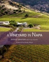 A Vineyard in Napa