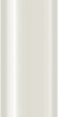 TravelSonic Electric Toothbrush (White)