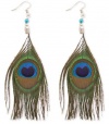 ZAD Long and Elegant Peacock Feather Hook Earrings on Silver Fish Hooks and Blue Beaded Accent