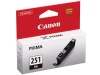 Canon Ink CLI-251 BK Individual Ink Tank