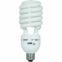 Feit Electric ESL40TN/D 40-Watt Compact Fluorescent High-Wattage Bulb, Daylight