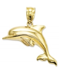 Make a splash with this darling dolphin charm. Crafted in 14k gold, this 3-dimensional charm looks like its jumping right out of the water. Approximate length: 8/10 inch. Approximate width: 9/10 inch.