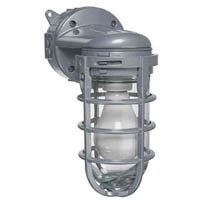 Metal Cage Wall Mount Light, Aluminum