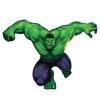 RoomMates RMK1484GM Hulk  Peel & Stick Giant Wall Decal