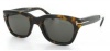 Tom Ford Snowdon FT0237 Sunglasses - 52N Havana (Gray Green Lens) - 50mm